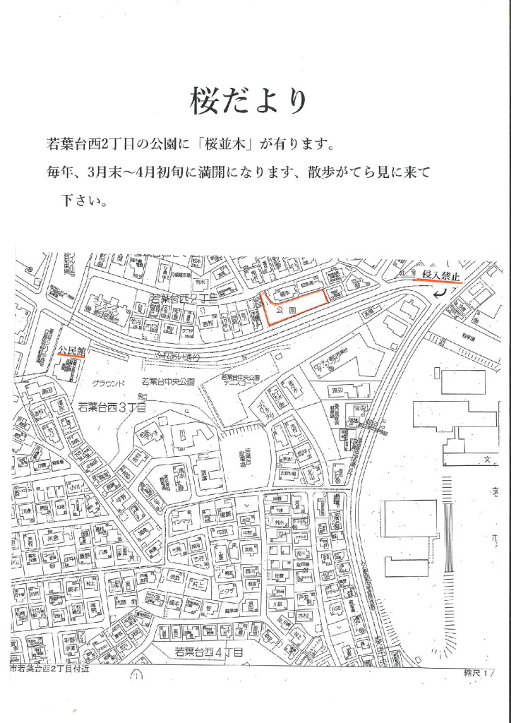 桜だより文章のサムネイル